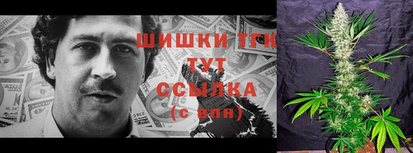 бошки Богородицк