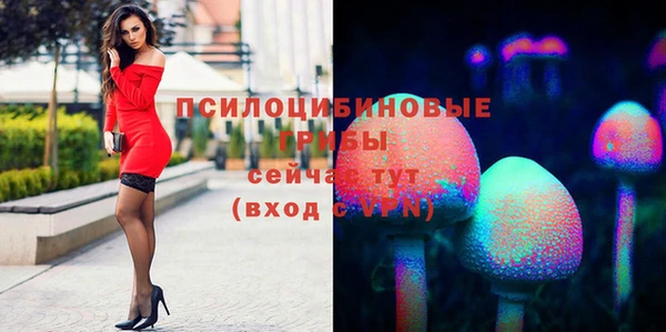бошки Богородицк