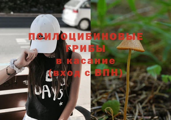 бошки Богородицк