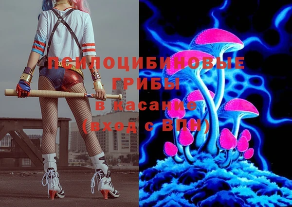 спайс Богородск